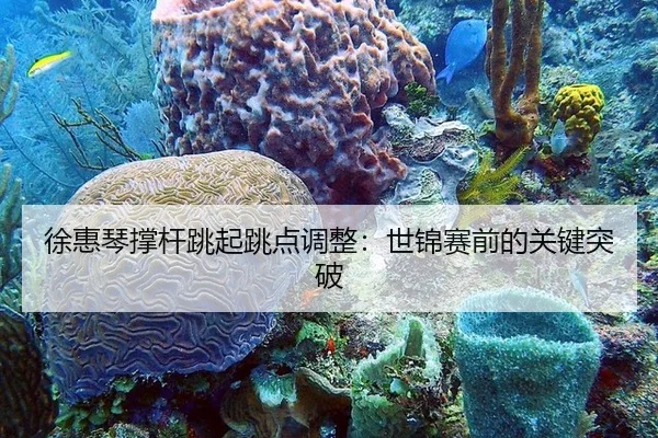 xu-hui-qin-cheng-gan-tiao-qi-tiao-dian-tiao-zheng-shi-jin-sai-qian-de-guan-jian-tu-po-3-199.jpg