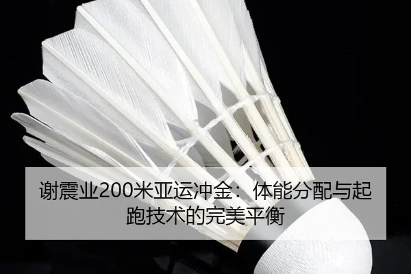 xie-zhen-ye-mi-ya-yun-chong-jin-ti-neng-fen-pei-yu-qi-pao-ji-shu-de-wan-mei-ping-heng-3-187.jpg